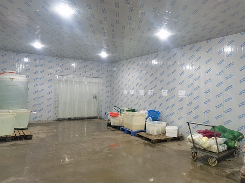 双温冷库建设.jpg