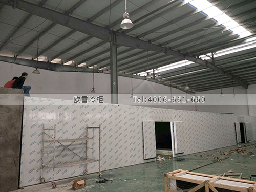 物流冷库工程案例ag点top.jpg