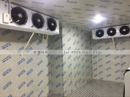 物流冷库工程案例ag点top.jpg