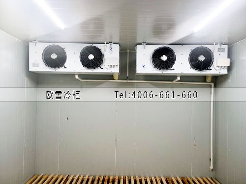 欧雪电子元器件冷藏冷库工程建设.jpg