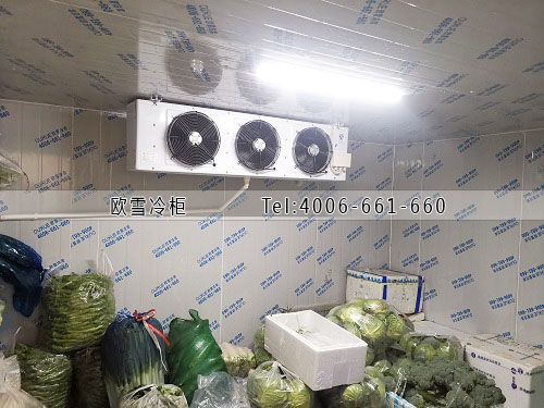 蔬菜保鲜冷库建设多少钱一平米.jpg