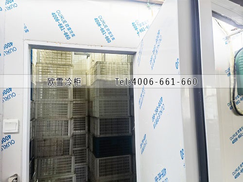 水果保鲜冷库工程案例ag点top.jpg