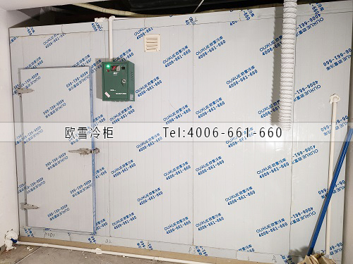 重庆小型冷库工程案例ag点top.jpg
