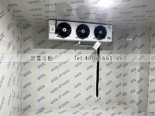 小型冷藏冷库工程案例ag点top.jpg