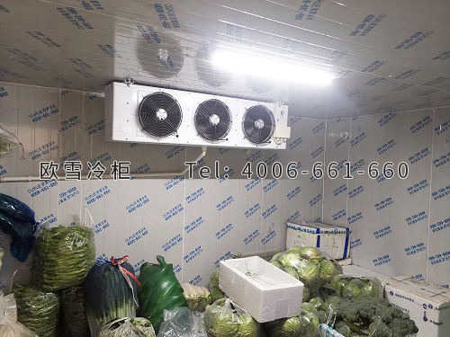 蔬菜保鲜冷库.jpg