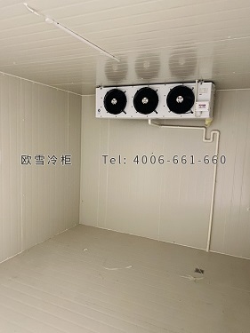 双温冷库工程案例ag点top.jpg