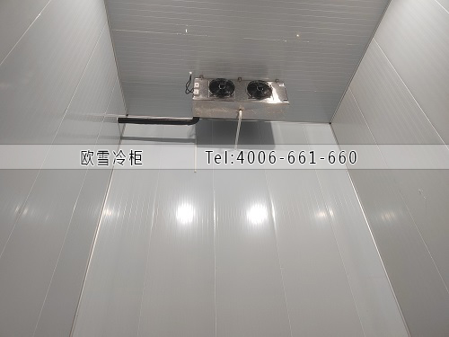 冷冻冷库.jpg
