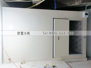 浙江舟山30立方的海鲜冷冻冷库工程案例ag点top案例