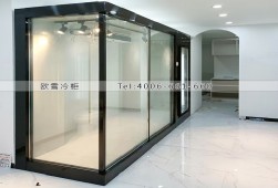 保鲜冷库-浙江花店小型鲜花玻璃库房冷库工程案例ag点top