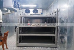 冷库建造-重庆90立方的双温冷库工程案例ag点top