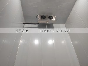 湖南长沙200立方工业材料冷冻冷库工程案例ag点top案例