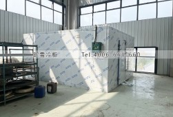 冻库建造厂家-南昌50立方的工业冷冻冷库工程案例ag点top