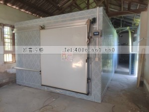 湖南长沙-18℃低温冷冻冷库工程案例ag点top案例