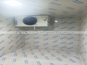 浙江温州小型红酒恒温冷库工程案例ag点top案例