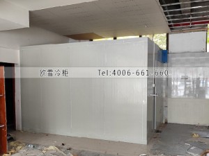 重庆潼南区25立方小型冷藏冷库工程案例ag点top案例