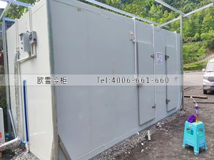 重庆南川40立方小型双温冷库工程案例ag点top案例