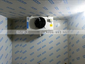 浙江宁波30立方的小型冷冻冷库工程案例ag点top案例