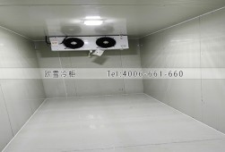 冷库工程-湖南药业小型医药冷藏冷库工程案例ag点top