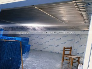 清远铝排管直冷冷冻冷库工程案例ag点top案例