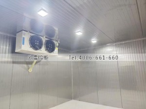 重庆200立方食品双温冷库工程案例ag点top案例