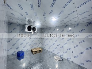惠州惠阳55立方的宠物罐头冷藏冷库工程案例ag点top案例