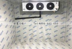 冷库建设多少钱一平方？