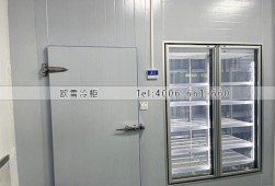 冷库设计-深圳市龙岗区社康门诊小型冷藏冷库工程案例ag点top